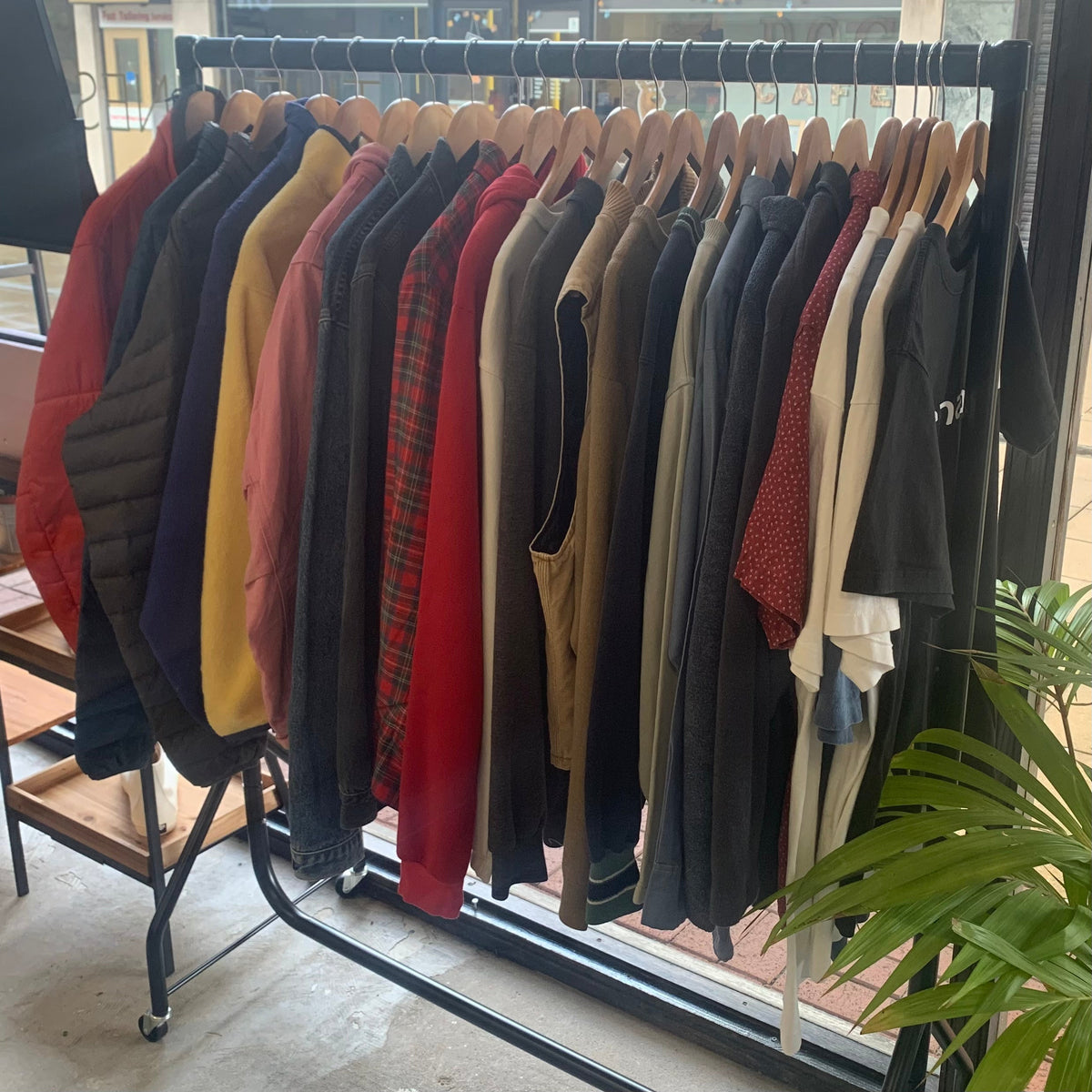 The Vines VintageSkate Wear Collection