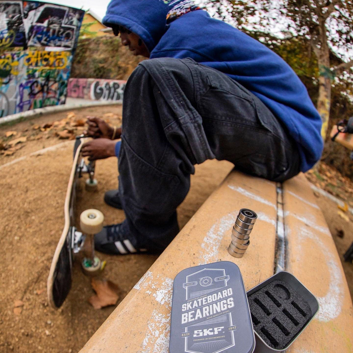 Skateboard Bearings