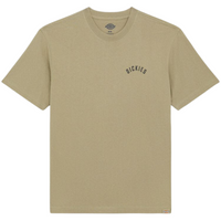 Dickies Skateboarding Panther T-Shirt | Military Green