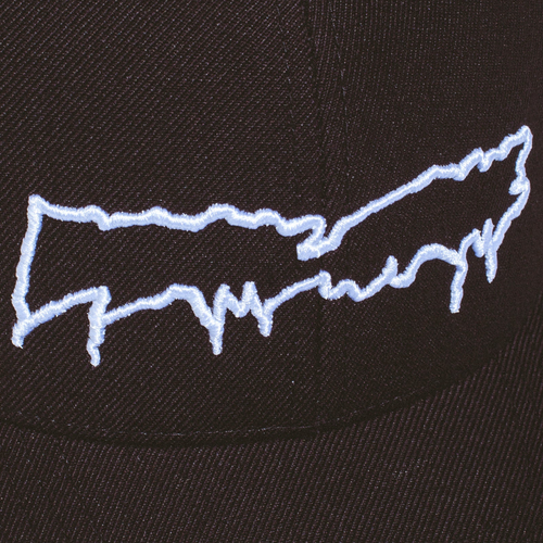Fucking Awesome Drip Logo Strapback Cap | Black - The Vines Supply Co