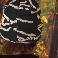 Quasi Parasite Beanie | Forest Green