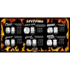 Spitfire Radial Full Formula Four Skateboard Wheels | 97A