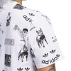 Adidas Skateboarding Dill Graphic T-Shirt | White