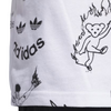 Adidas Skateboarding Dill Graphic T-Shirt | White