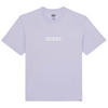 Dickies Skateboarding Patrick Springs T-Shirt | Cosmic Sky - The Vines Supply Co