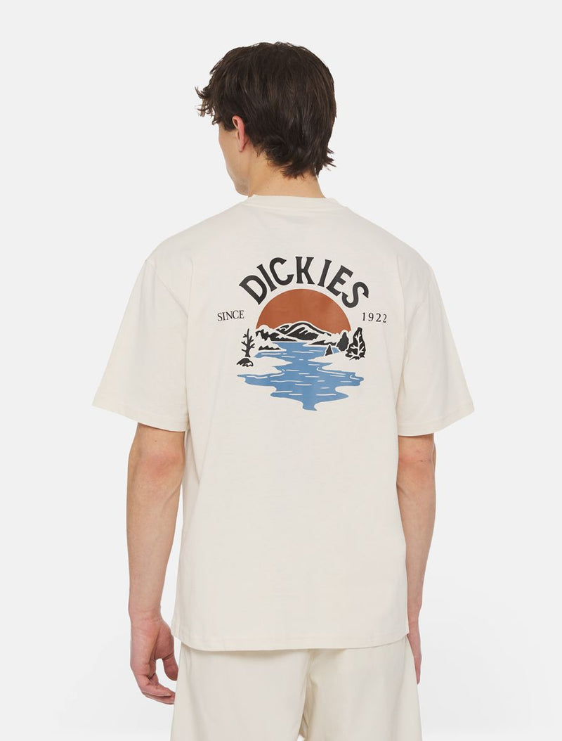 Dickies Skateboarding Beach T-Shirt | Whitecap Grey - The Vines Supply Co