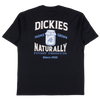 Dickies Skateboarding Elliston T-Shirt | Black - The Vines Supply Co