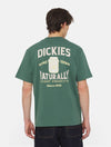 Dickies Skateboarding Elliston T-Shirt | Forest Green - The Vines Supply Co