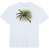 Polar Skate Co Green Spider T-Shirt | White - The Vines Supply Co