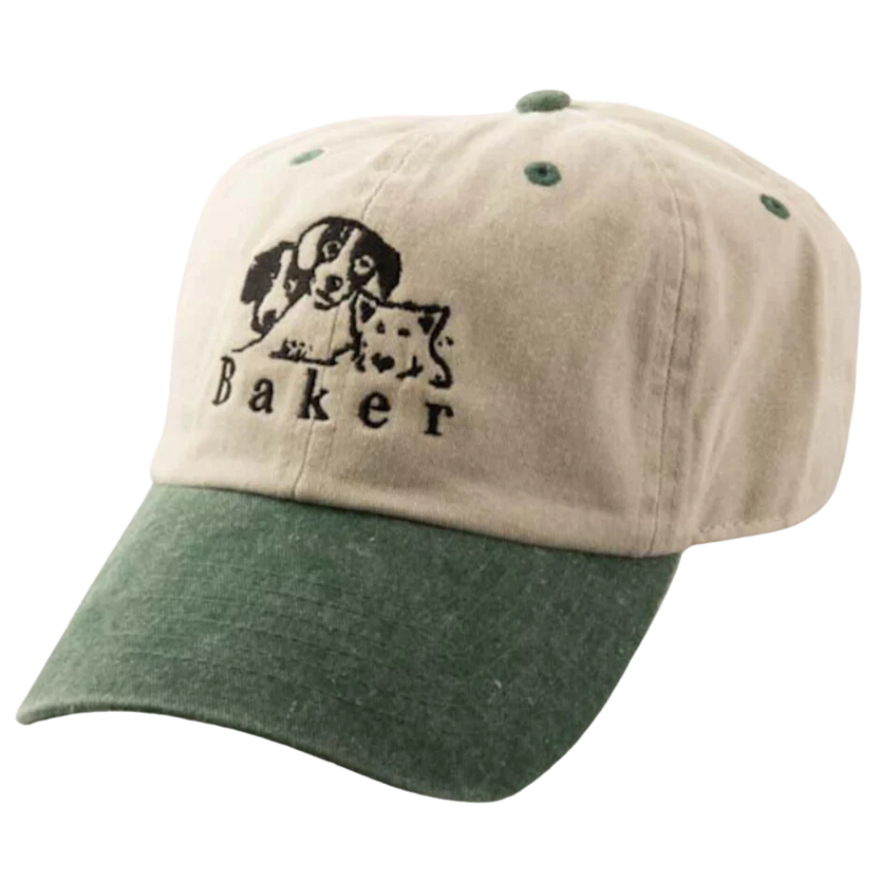 Baker skateboards shops cap