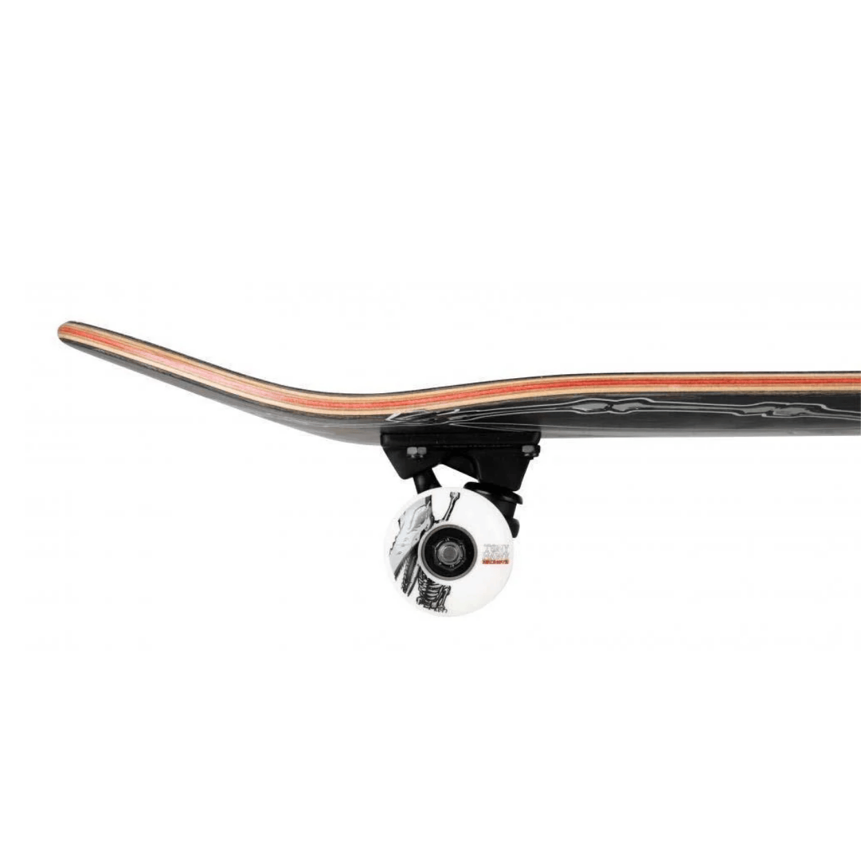 Birdhouse Stage 3 Falcon 1 Complete Skateboard | 8.125"