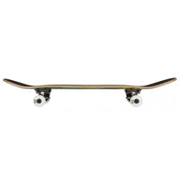 Birdhouse Stage 1 Hawk Crest Complete Skateboard | 8"