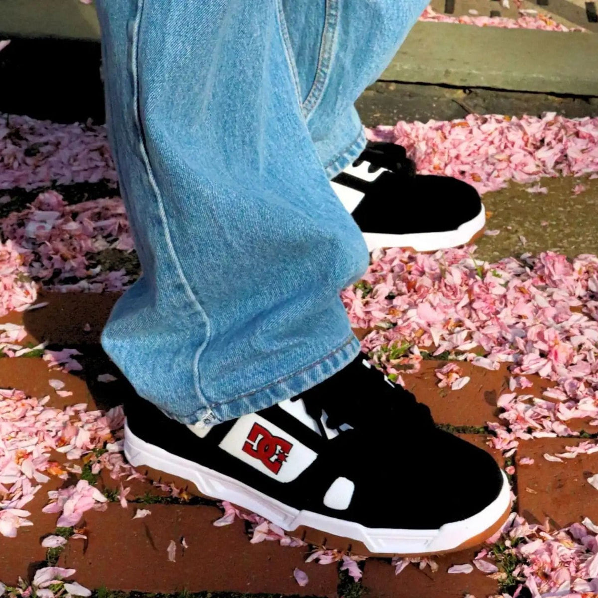 DC Stag Skate Shoes | Black, White & Red