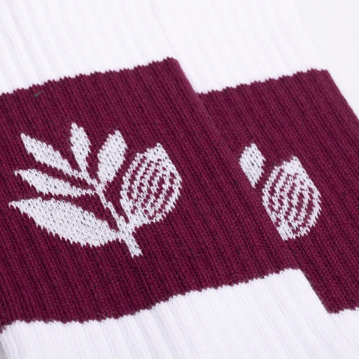 Magenta Skateboards Stripe Socks | White - The Vines Supply Co