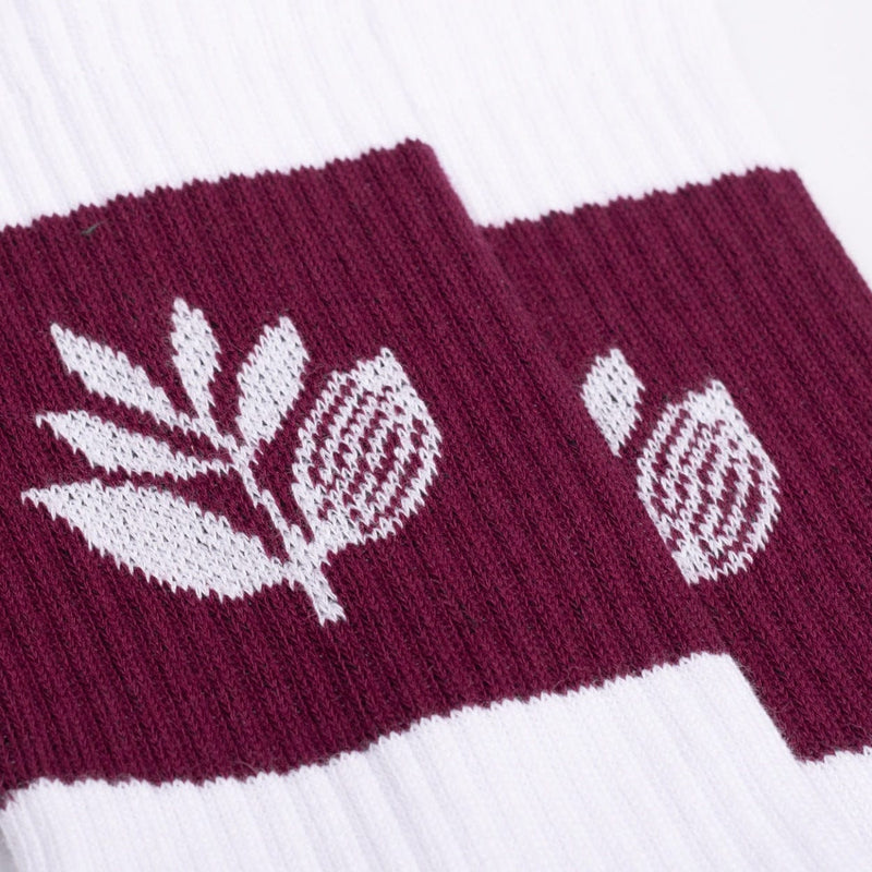Magenta Skateboards Stripe Socks | White - The Vines Supply Co