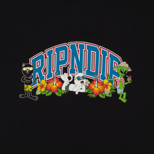 RipnDip RIPNDIP Summer Friends T-Shirt | Black Tees | The Vines