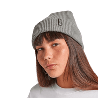 Stance Stance Icon 2 Beanie | Heather Grey Beanies | The Vines